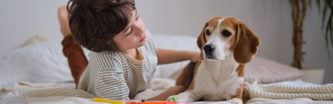 How to Create a Safe Cleaning Routine for Pets and Kids