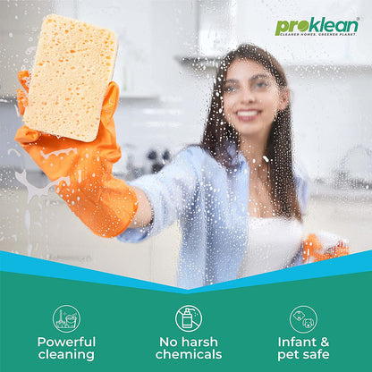 ProGloss - Ecofriendly Glass Cleaner (400 Ml)